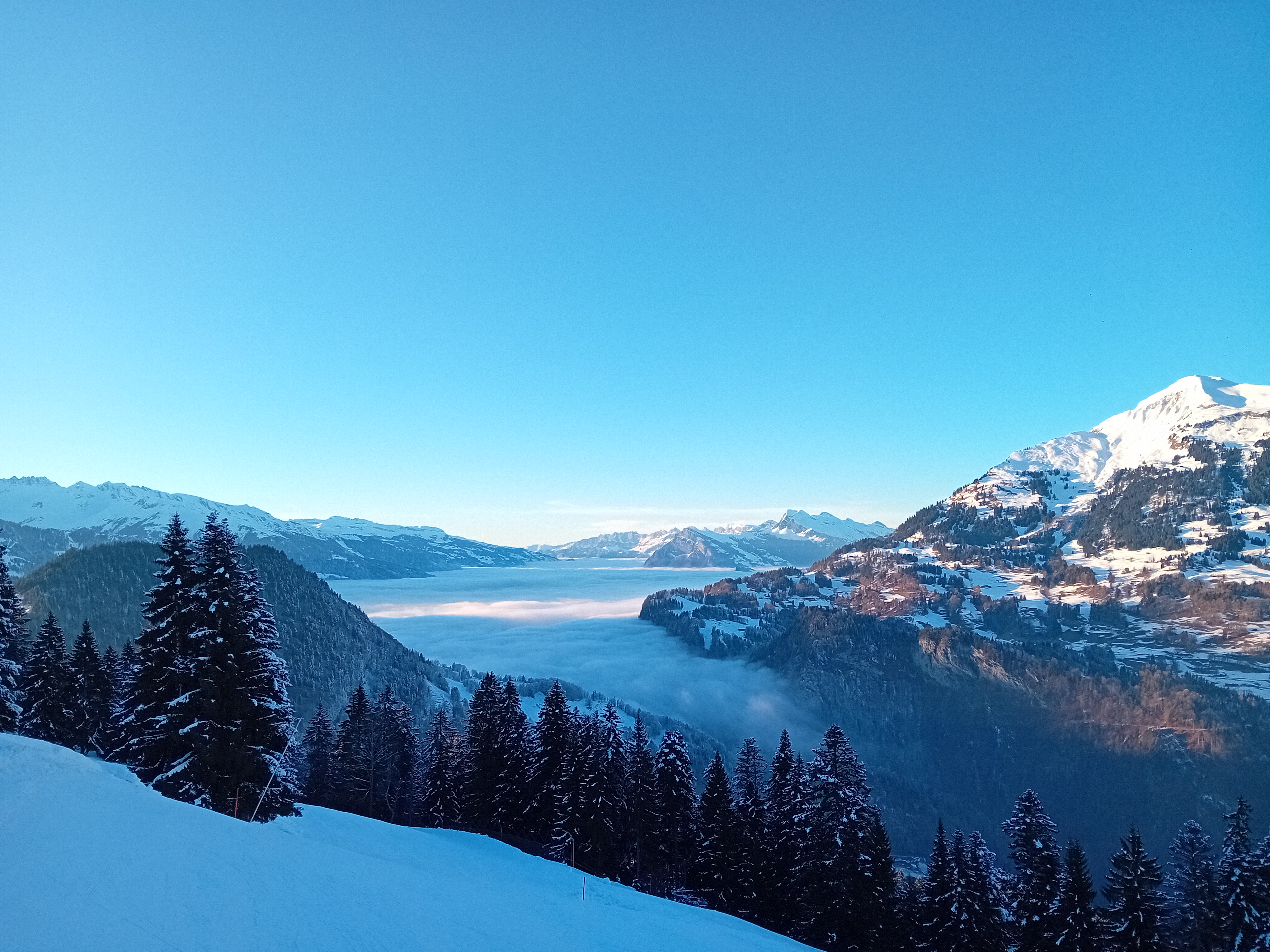 Bittersüsser Jahresausklang